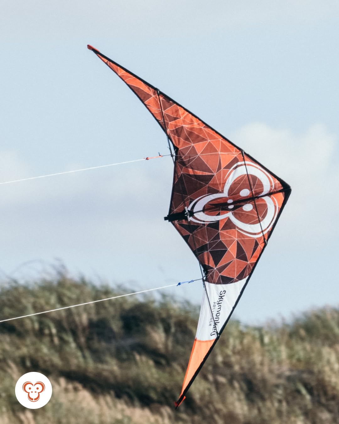 Skymonkey Fastrider Lenkdrachen Kinder, Jugendliche und Erwachsene, 2-Leiner Lenkdrache, Spannweite: 127cm - Rainbow