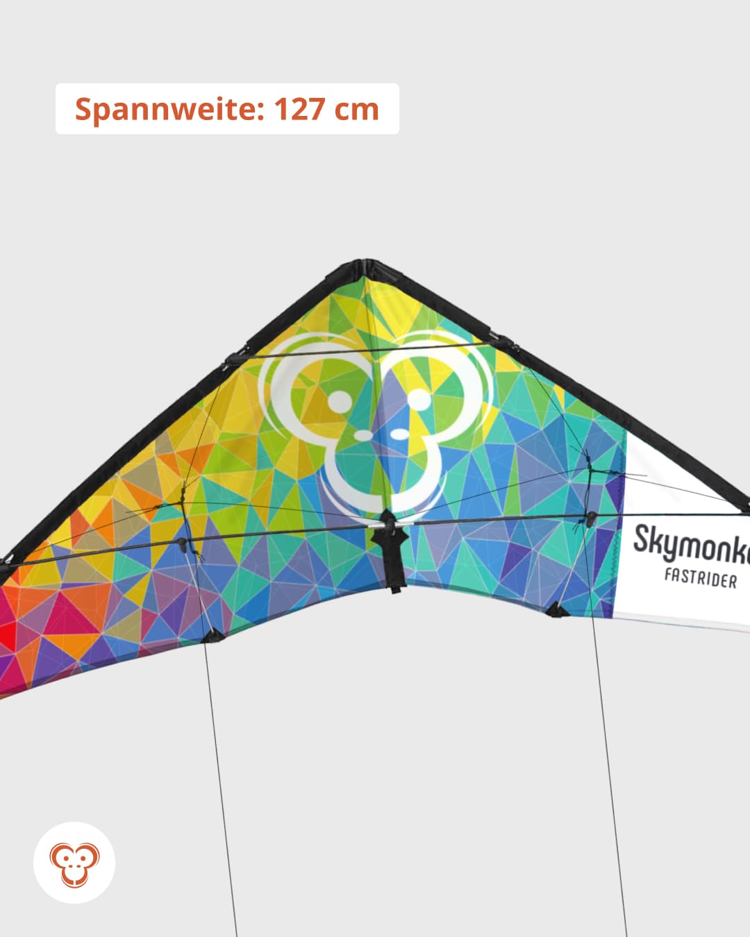 Skymonkey Fastrider Lenkdrachen Kinder, Jugendliche und Erwachsene, 2-Leiner Lenkdrache, Spannweite: 127cm - Rainbow