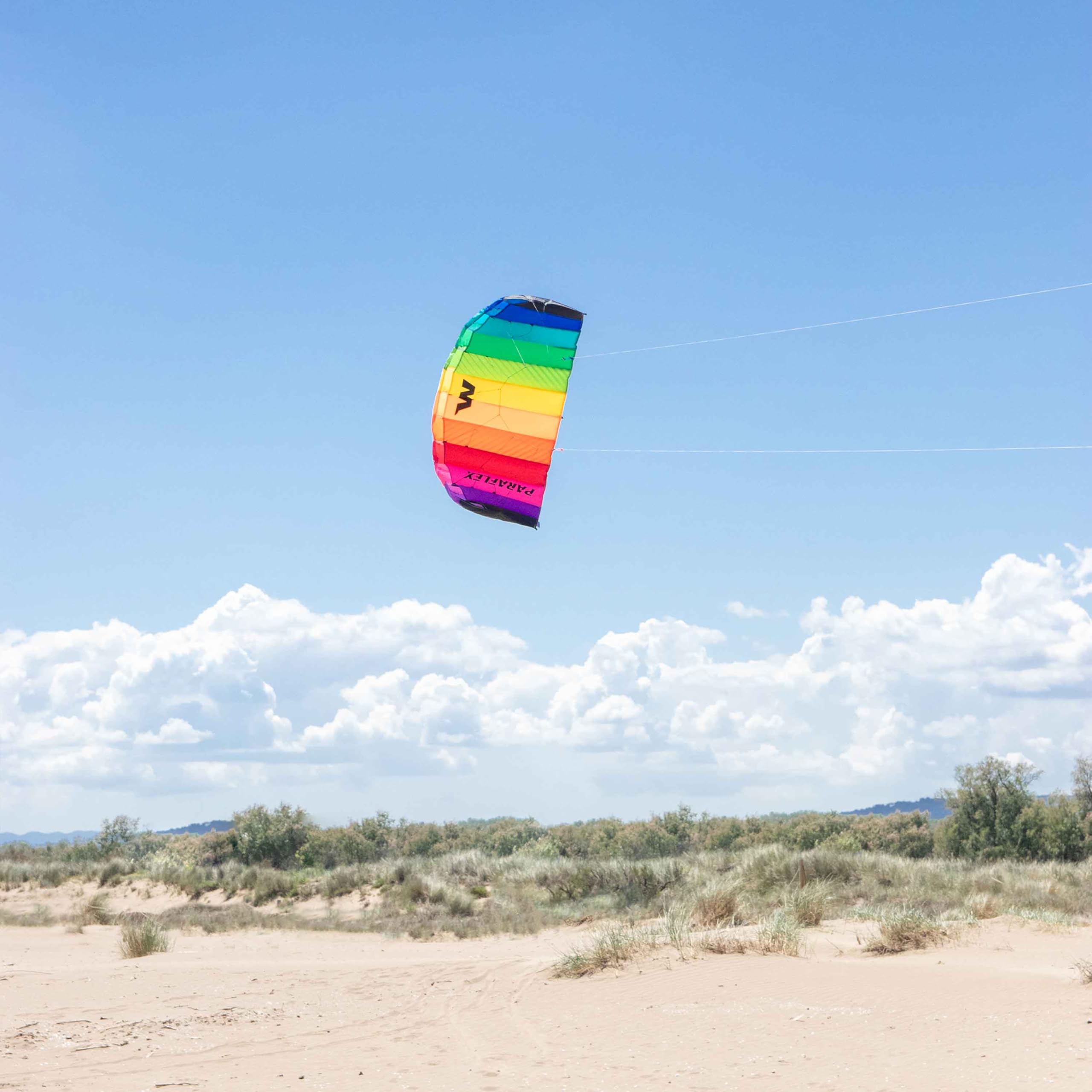 Wolkenstürmer Paraflex Basic Lenkmatte 1.2 (Rainbow) - Regenbogen Kite für Kinder ab 6 Jahre - Lenkdrachen flugfertig mit 2x25m Dyneemaleinen & Flugschlaufen