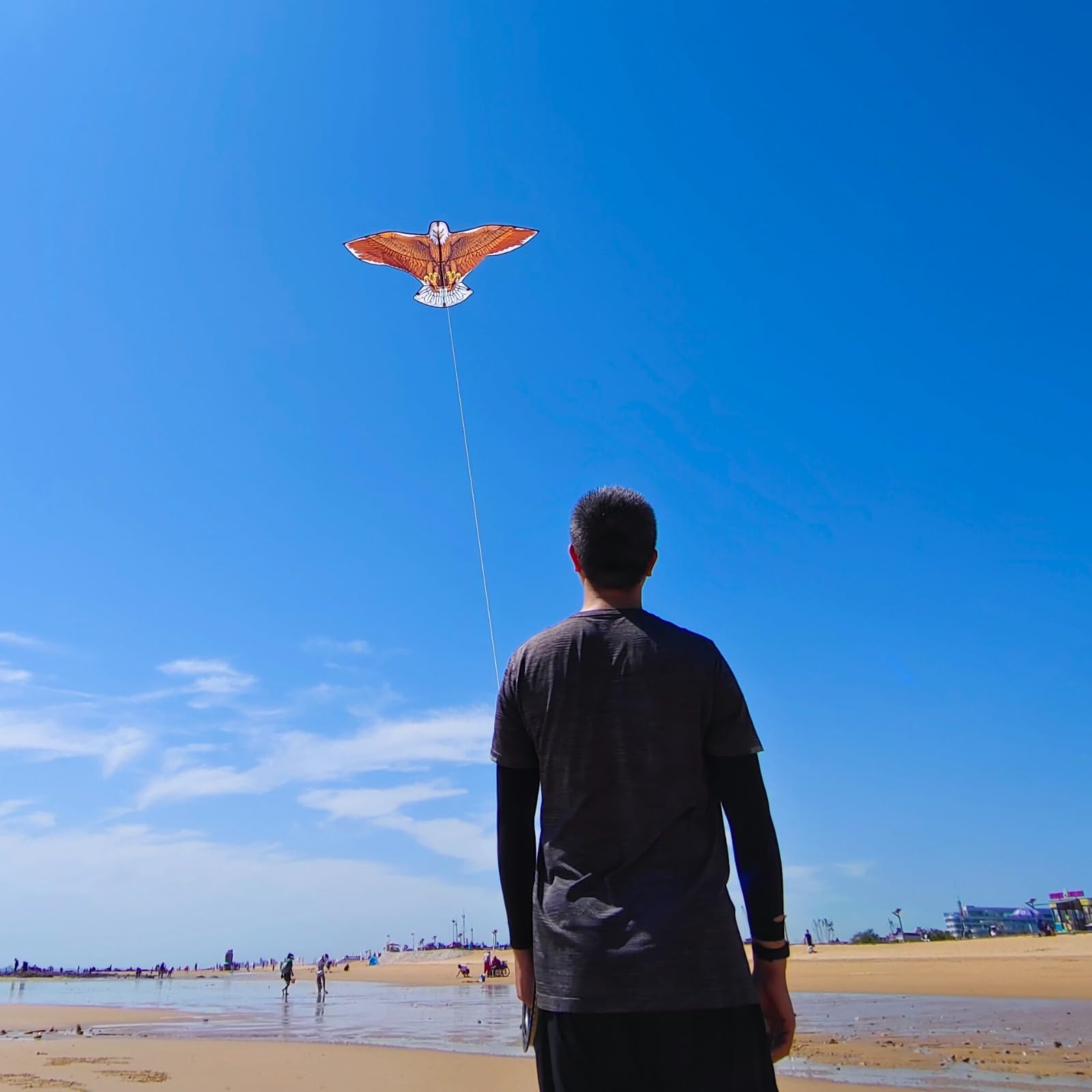 Flying Hoofer 70.8" Adlerdrachen für Erwachsene und Kinder, Leicht zu fliegen und zusammenzusetzen, Einfachzügen Strand- und Parkdrachen für Familienfreizeitaktivitäten, Mit 300 Fuß langen Schnurgriff