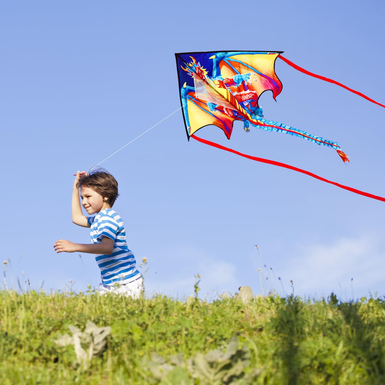 HONBO Drachen für Kinder und Erwachsene, Kinder Drachen mit Langem Schwanz,Drachenschnur inklusive